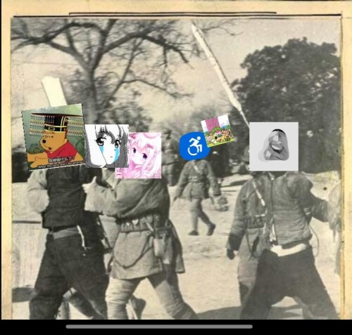 1000063823.jpg