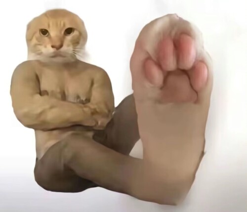 1000004438.jpg