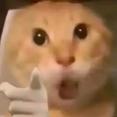 1000003690.png