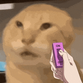 1000076894.gif