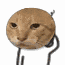 1000076897.gif