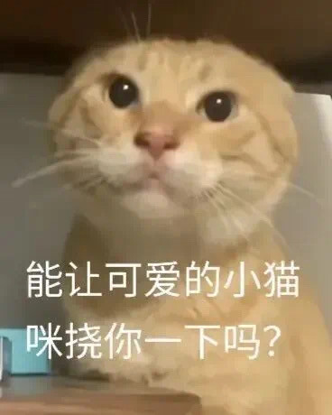 1000076899.jpg